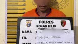 Polres Rohil Bersama Polsek Jajaran Amankan Seorang Pelaku Pembakar Lahan di Perbatasan Balai Jaya- Kubu