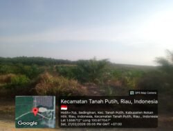 Ratusan Hektare Kebun Sawit di Areal 500 Desa Sedinginan Diduga di HPK Tanpa Izin, Berpotensi Pelanggaran Hukum