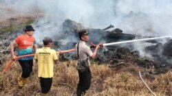 Polsek Tanah Putih Tanjung Melawan Ungkap Pelaku Kasus Karhutla, Terduga Pelaku Tertangkap Tangan Saat Membakar Lahan