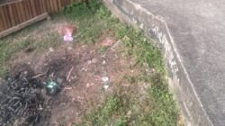 Jalan Provinsi Hanya 2 Mater, Warga Mengkirau Kabupaten Kepulauan Meranti Minta Tuntaskan Pelebaran Jalan