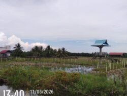 Ratusan Juta Anggaran Desa Tak Jelas: Taman Wisata Teluk Pulau Hulu Berdiri di Tanah Pribadi, Kini Terbengkalai
