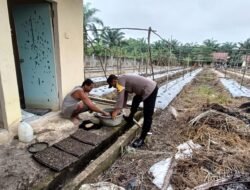 Polisi Cinta Petani: Polsek Bangko Pusako Gencar Dampingi Petani, Dukung Penuh Swasembada Pangan Nasional