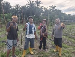 Polsek Bangko Pusako Tanam Kacang Panjang, Sukseskan Asta Citra Demi Swasembada Pangan
