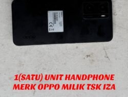 Satreskrim Polres Rokan Hilir Berhasil Ungkap Kasus Curat, Dua Pelaku Diamankan