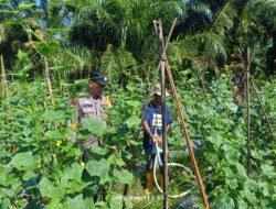 Jelang Idul Adha, Personel Polsek Bangko Pusako Tak Henti Pantau Lahan Warga, Dukung Swasembada Pangan Lewat Program Polisi Cinta Petani