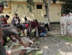 Polres Rokan Hilir Gelar Penyembelihan Hewan Qurban, Pererat Silaturahmi Bersama Masyarakat