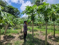 Polsek Bangko Pusako Laksanakan Program Polisi Cinta Petani, Dukung Ketahanan Pangan dan Asta Citra Presiden