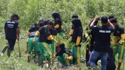 Dukung Green Policing Kapolda Riau, Polres Rohil Tanam Mangrove di Pantai Sinaboi