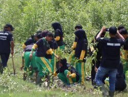 Dukung Green Policing Kapolda Riau, Polres Rohil Tanam Mangrove di Pantai Sinaboi