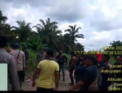 GEGER! Diduga Pakai Premanisme, Pihak PT. Torganda Kuasai Lahan KSB Air Hitam Rohil