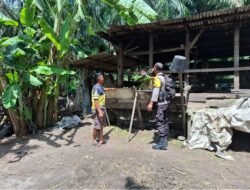 Giat Pendataan Ketahanan Pangan, Warga Bangko Makmur Manfaatkan Pekarangan untuk Ternak Sapi