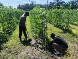 Polisi Cinta Petani, Bhabinkamtibmas Sambang dan Dukung Usaha Tani di Bangko Mukti