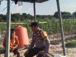 Bhabinkamtibmas Sambang Warga yang Tanam Jagung di Bangko Mas Raya Dukung Progam Asta Cita Presiden RI