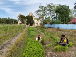 Bhabinkamtibmas Sungai Manasib Polsek Bangko Pusako Sambangi Warga yang Panen Kangkung