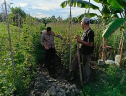 Bhabinkamtibmas Bangko Kanan Polsek Bangko Pusako Sambangi Petani Perawatan Tanaman Timun