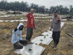 Polisi Cinta Petani, Bhabinkamtibmas Sambangi Petani Penanam Semangka di Bangko Bakti