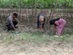 Dukung Ketahanan Pangan Keluarga Bergizi, Bhabinkamtibmas Bangko Makmur Data Potensi Lahan Pekarangan Warga