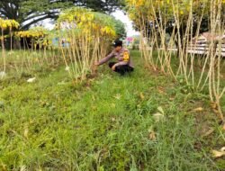 Bhabinkamtibmas Kepenghuluan Sungai Manasib Kroscek Lahan Ubi Warga Dukung Program Asta Citra Presiden