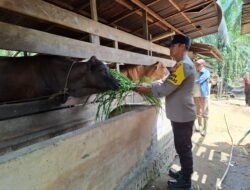 Polisi Cinta Petani,Bhabinkamtibmas Kepenghuluan Bangko Makmur Pantau Pengembangan Ternak Mlebu Warga
