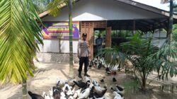 Giat Ketahanan Pangan: Bhabinkamtibmas Bangko Mukti Data Potensi Ternak Itik, Dukung Pangan Keluarga Bergizi