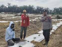 Dukung Asta Citra Presiden! Bhabinkamtibmas Bangko Permata Dampingi Petani Herman Kembangkan Komoditas Semangka
