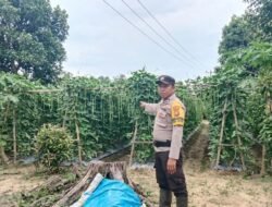 Dukung Asta Citra: Polisi Cinta Petani Tetap Konsisten, Pantau & Dampingi Warga di Bangko Lestari