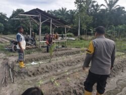 Dukung Ketahanan Pangan: Personil Polsek Bangko Pusako Lanjutkan Pendampingan di Desa Bangko Bakti
