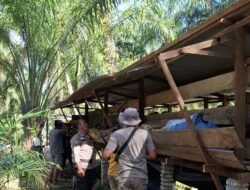 Personil Polsek Bangko Pusako Pantau Pengembangan Ternak Domba Warga Bangko Makmur Dukung Ketapang Bergizi 