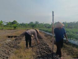 Dukung Program Asta Citra Presiden. Bhabinkamtibmas Polsek Bangko Pusako Ikut Menanam & Rawat Kacang Tanah Milik Warga