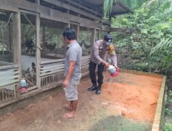 Polisi Cinta Petani: Bhabinkamtibmas Polsek Bangko Pusako Pantau Pengembangan Ayam 