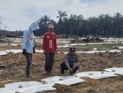 Polisi Cinta Petani : Bhabinkamtibmas Polsek Bangko Pusako&nbsp; Pantau Kebun Semangka Milik Warga Bangko Bakti