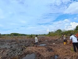Polda Riau Amankan Pelaku Perusakan Hutan Mangrove Di Pasir Limau Kapas Rohil