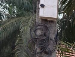 Kabel Wifi Diduga Ilegal Melilit Tiang PLN Bangko Pematang : Dinas Kominfo Rohil Dan APH Segera Ditindak